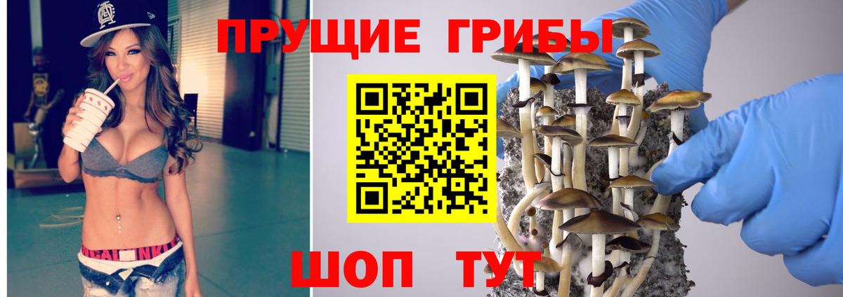 Галлюциногенные грибы ЛСД  Вход с VPN  Жигулёвск  Галлюциногенные грибы Psilocybine cubensis 